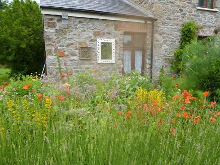 Middle Mill Kidwelly Exterior photo